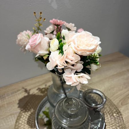 Apartman Nino Novigrad  المظهر الخارجي الصورة